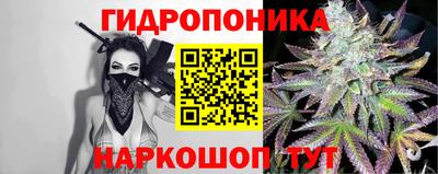 трава Новодвинск