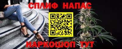 трава Новодвинск