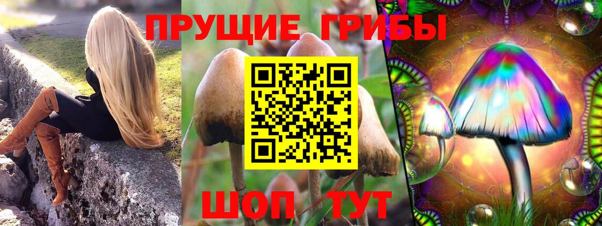 Соль-Илецк  Псилоцибиновые грибы Magic Shrooms  Вход с VPN 